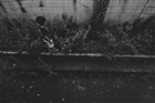 dailyPhoto6