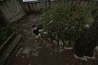 dailyPhoto6