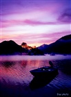 dailyPhoto6