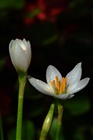 dailyPhoto5