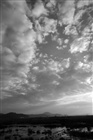 dailyPhoto11