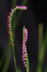 dailyPhoto34