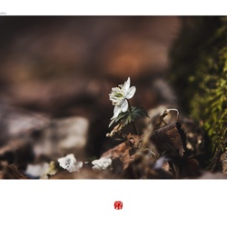 dailyPhoto35