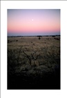 dailyPhoto9