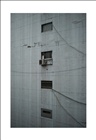 dailyPhoto4