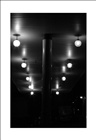 dailyPhoto34