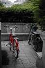 dailyPhoto29