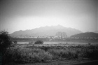 dailyPhoto12