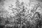 dailyPhoto7