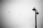 dailyPhoto5