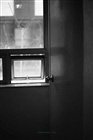 dailyPhoto25