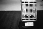 dailyPhoto40