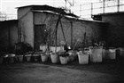 dailyPhoto9