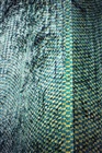 dailyPhoto36