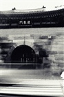 dailyPhoto39