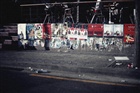 dailyPhoto8