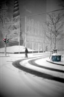 dailyPhoto6
