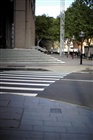 dailyPhoto16