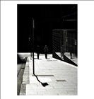 dailyPhoto35