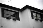 dailyPhoto11