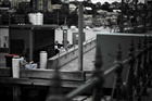 dailyPhoto29