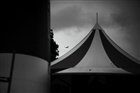 dailyPhoto8