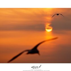 dailyPhoto20
