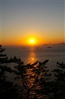 dailyPhoto14