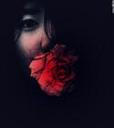 dailyPhoto14