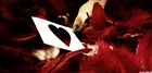 dailyPhoto40