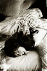 dailyPhoto8