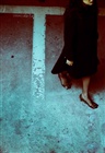 dailyPhoto20