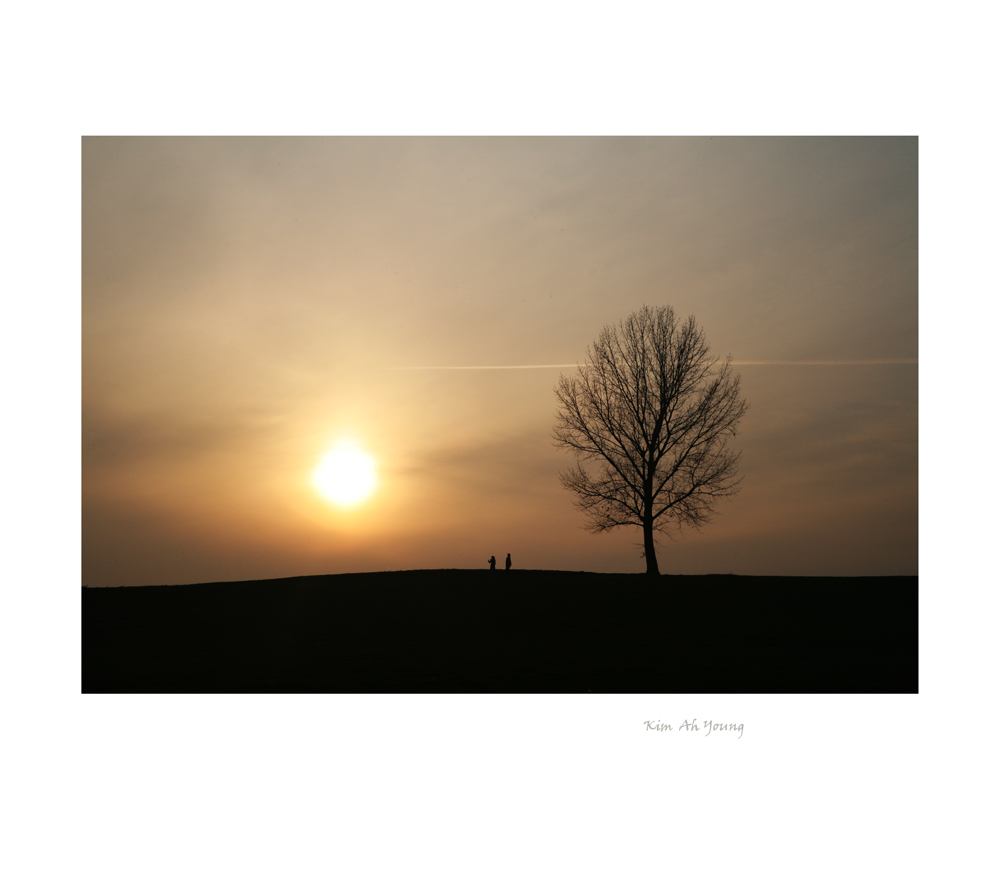 gallery_image