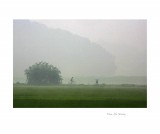 dailyPhoto7