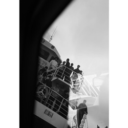 dailyPhoto11