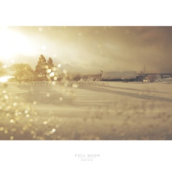 dailyPhoto26