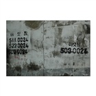 dailyPhoto8