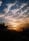 dailyPhoto7