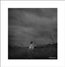 dailyPhoto34
