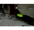 dailyPhoto40