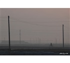 dailyPhoto31