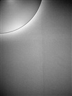 dailyPhoto13