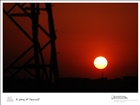 dailyPhoto8