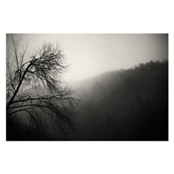 dailyPhoto27