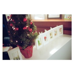 dailyPhoto38