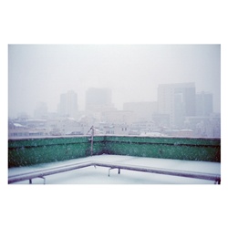 dailyPhoto29