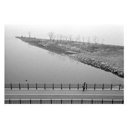 dailyPhoto39