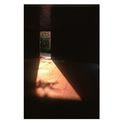 dailyPhoto8