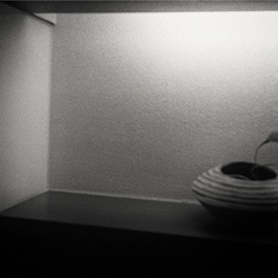dailyPhoto4