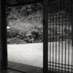 dailyPhoto12